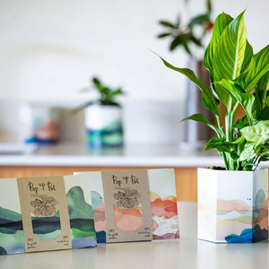 Pop Up Pot Beach