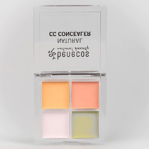 CC Concealer (6 g)