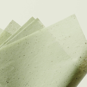 Green Tea Oil Control Paper (50 Sheets)
