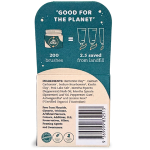 Organic Tooth Powder Minty Brush (40 g)