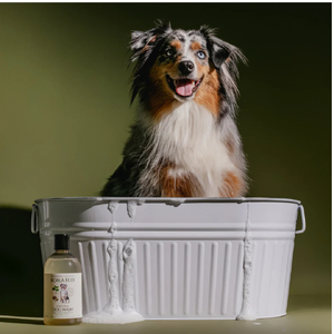 Dog Wash With Marjoram & Rosalina (500 ml)