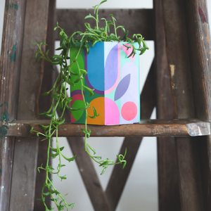 Pop Up Pot Plant Party