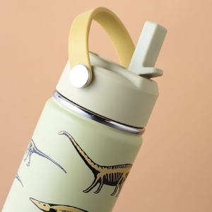 Insulated Kids Bottle Dinosaur (400 ml)