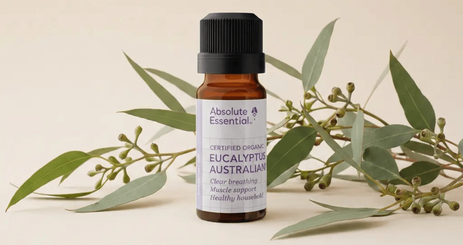 Absolute Essential Certified Organic Eucalyptus Australiana Essential Oil