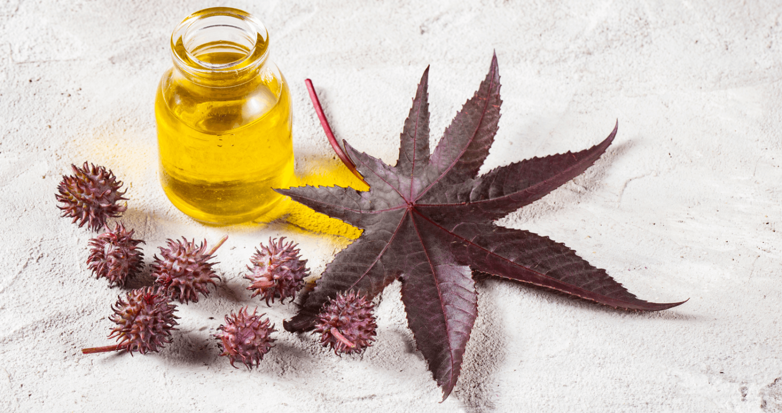Castor oil bottle with plant next to it