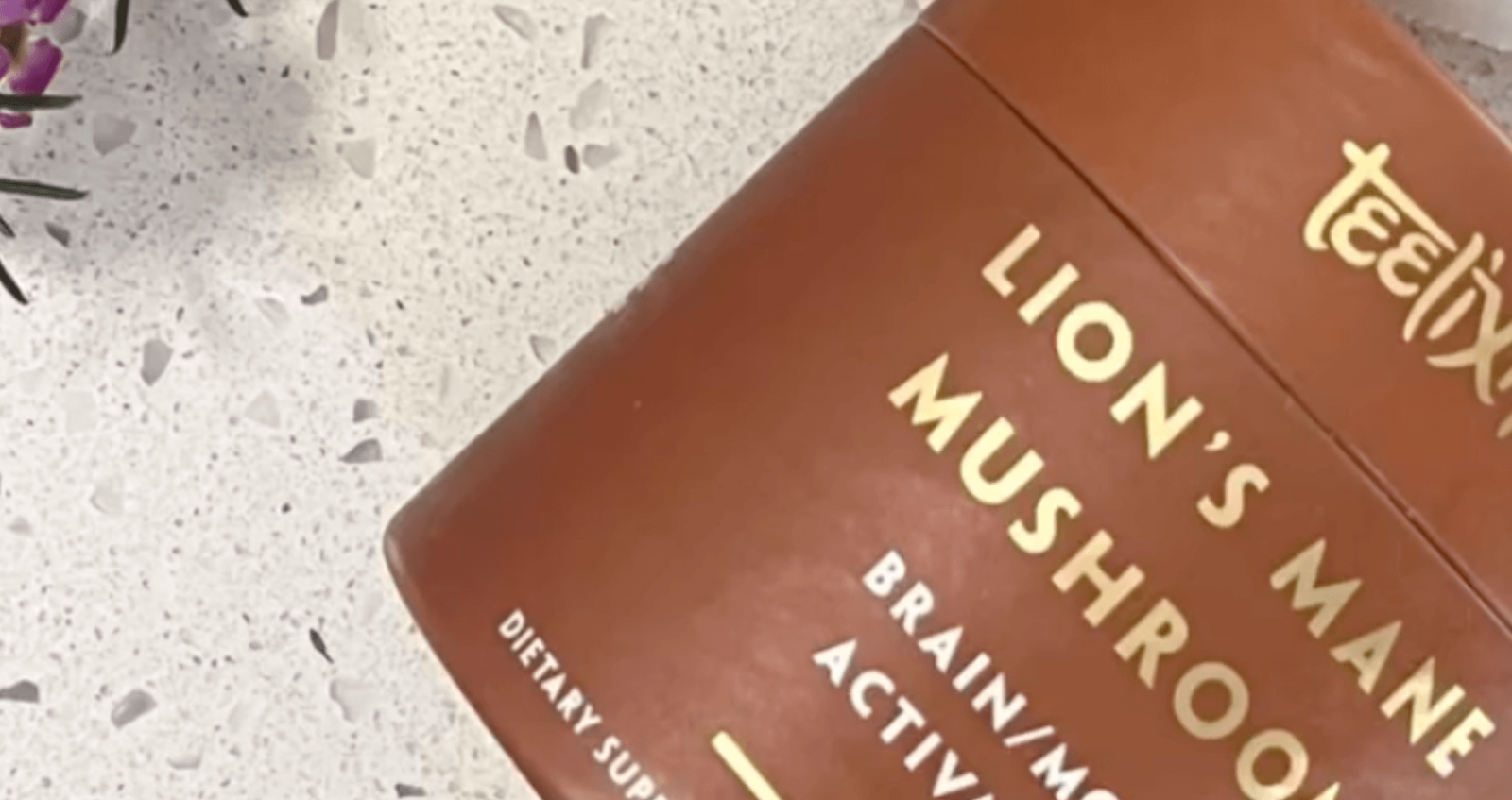 Teelixir Certified Organic Lion's Mane Mushroom For Brain & Mood