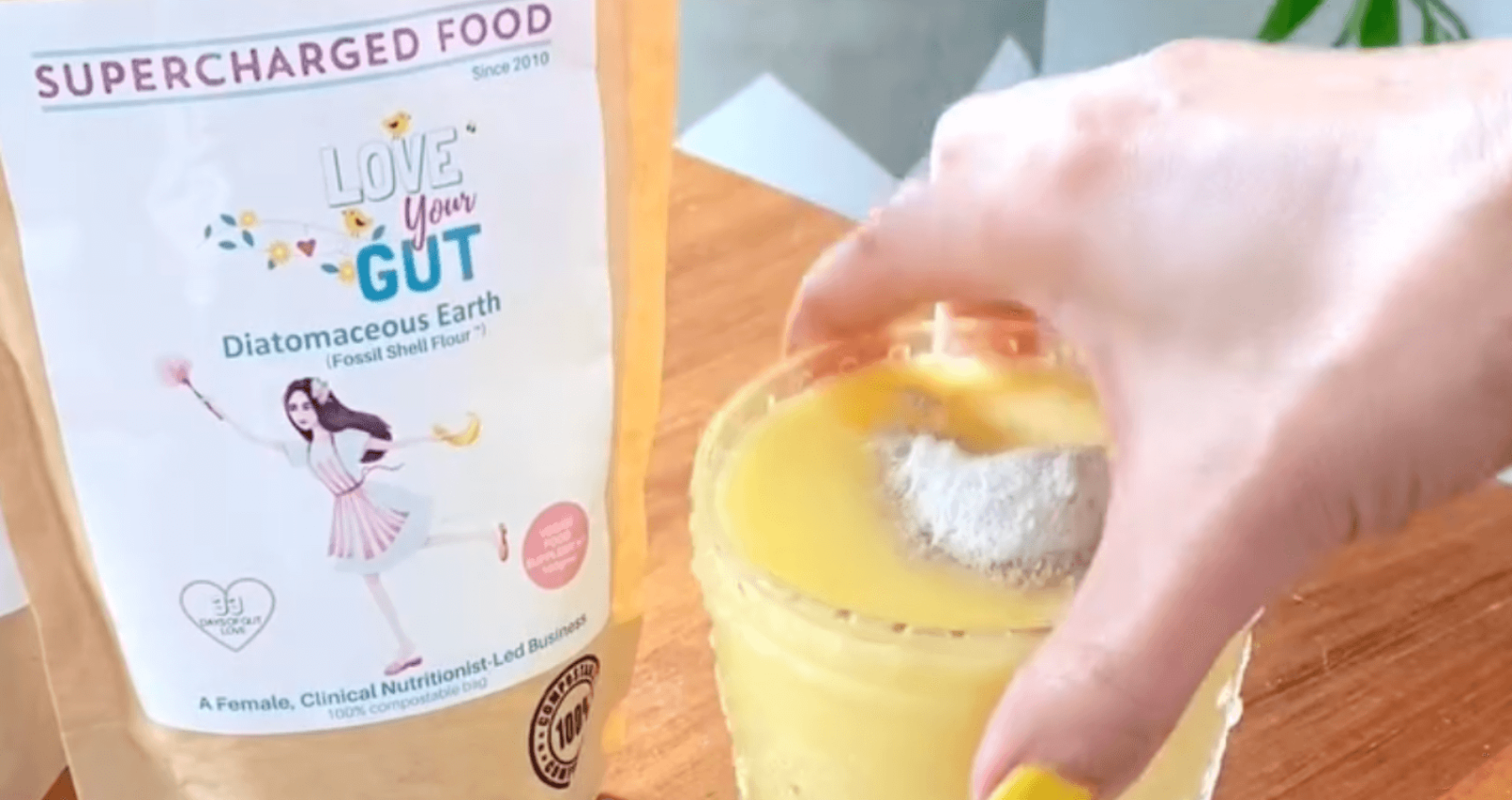 Diatomaceous Earth Love Your Gut Powder 