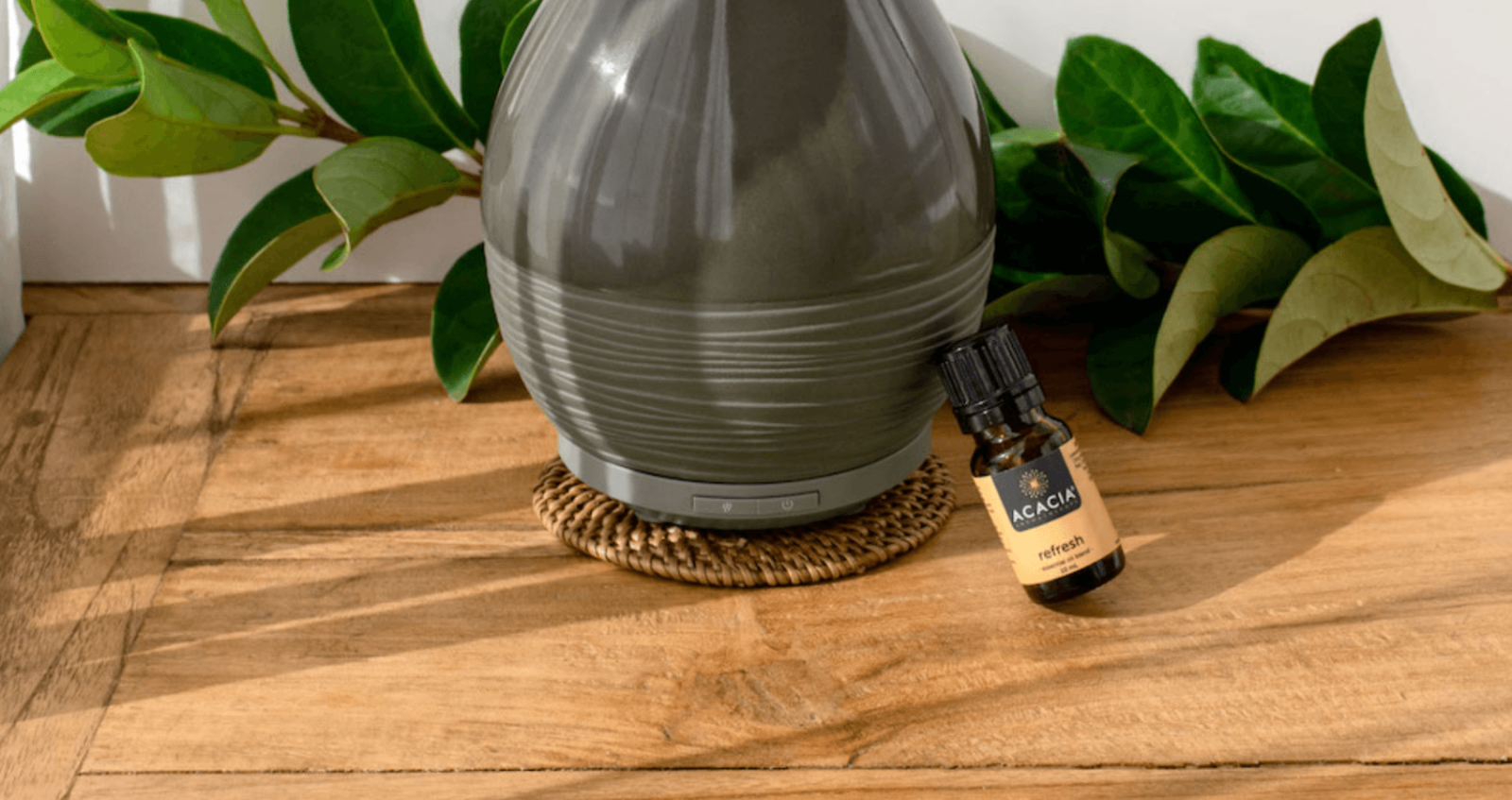 Acacia Aromatherapy Certified Organic Essential Oil Blend Focus