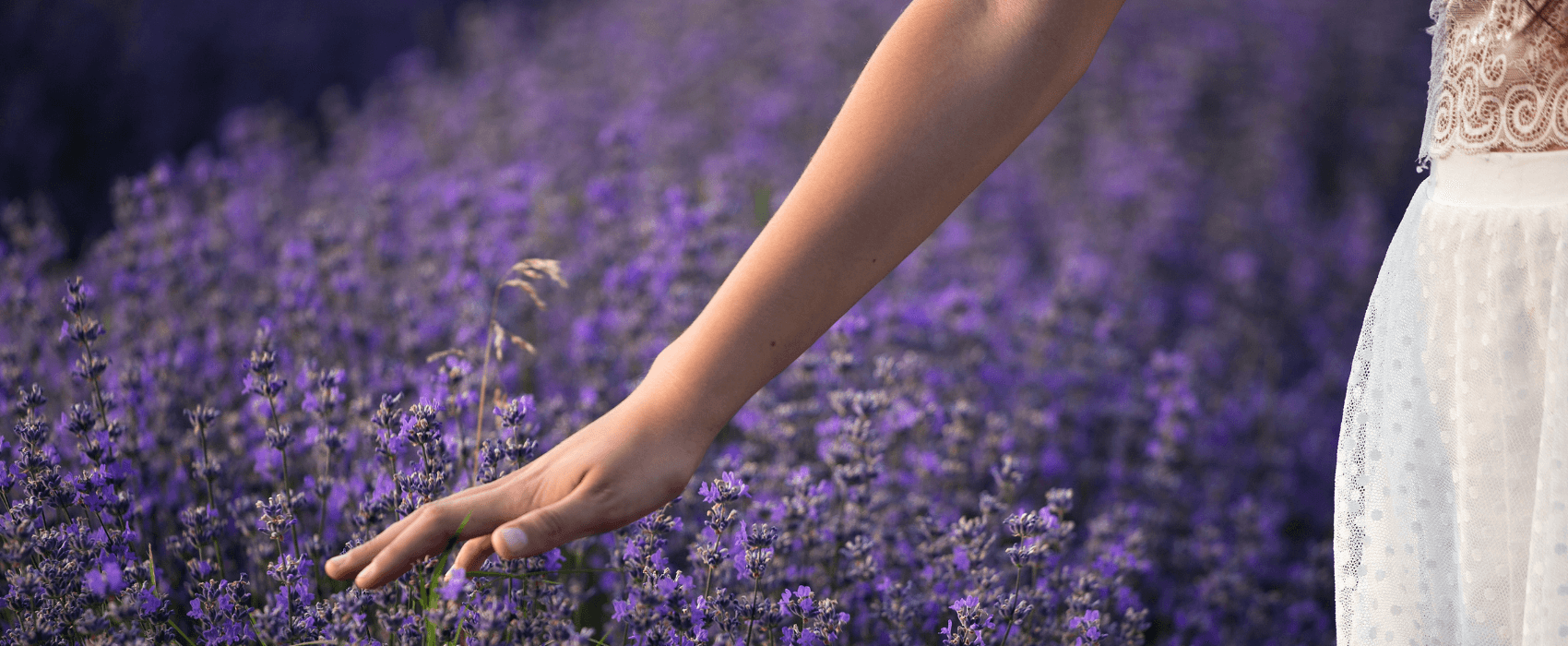 Blog - How lavender oil can improve your mental we