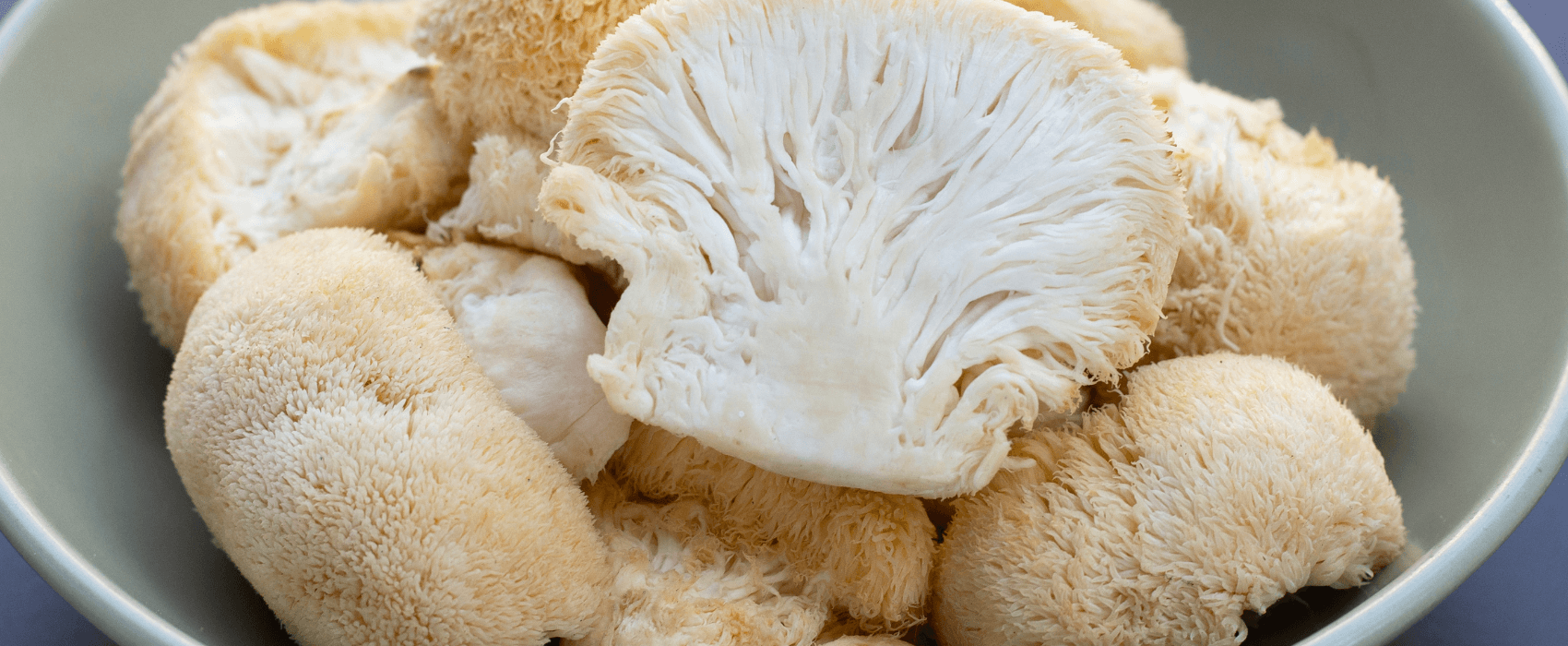 Blog - Why lion's mane mushrooms are taking Austra