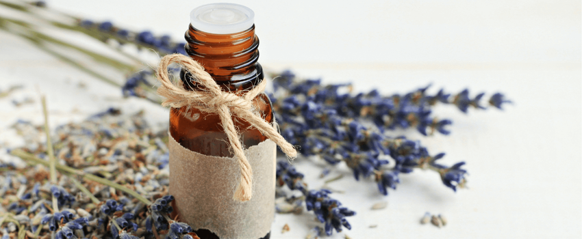 How to Use Lavender Essential Oil: Uses and Benefits