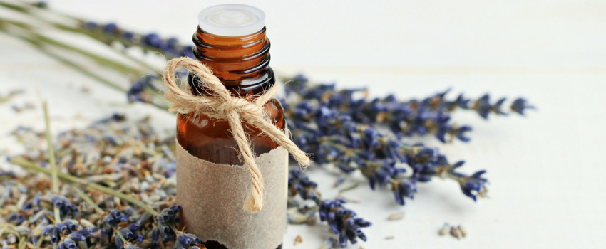Blog - Benefits and uses of lavender essential oil