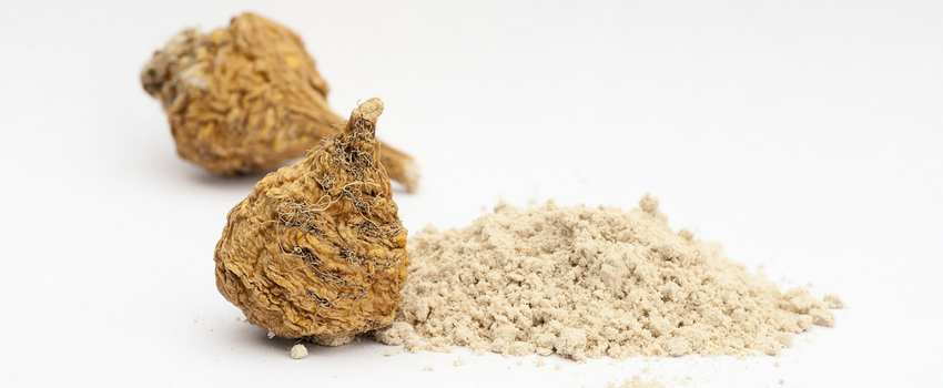 Blog - Benefits of maca powder