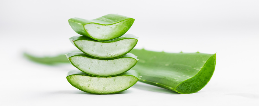 Blog - Top uses of aloe vera in natural skin care