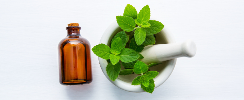 Benefits Of Peppermint Oil For Skin, Hair, Health & How To Use