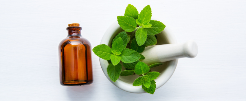 Blog - Peppermint oil uses and benefits