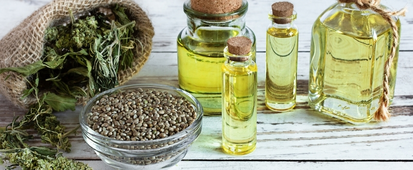 Our blog - Hemp oil: the ultimate guide