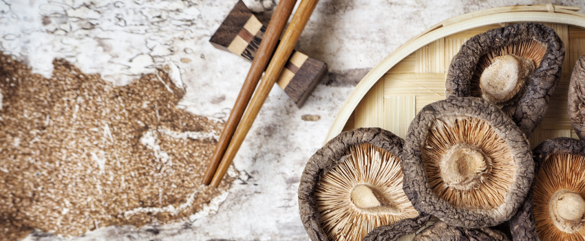 Blog - Boosting immunity with mushroom powder 