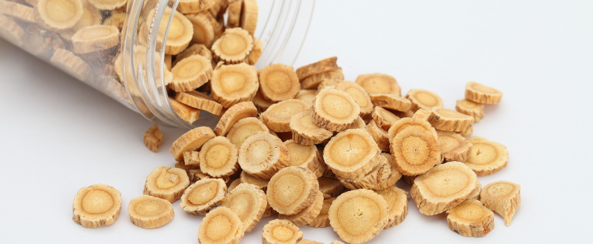 Blog - How astragalus can boost your immune system
