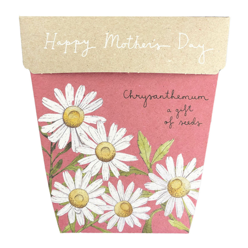 Mother's Day Chrysanthemum Gift Of Seeds