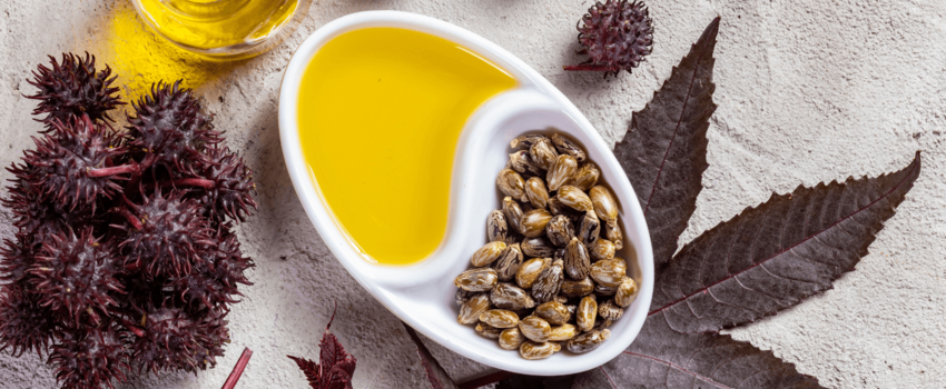 Discover the power of organic castor oil