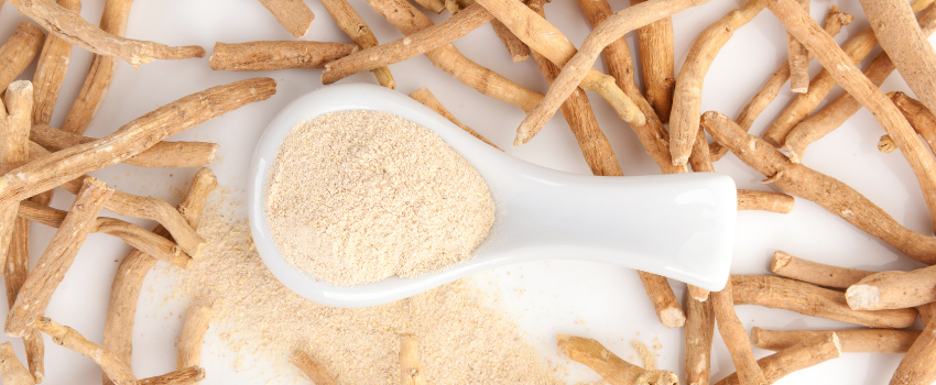 Ashwagandha for immunity, energy boosting, stress relief & more!