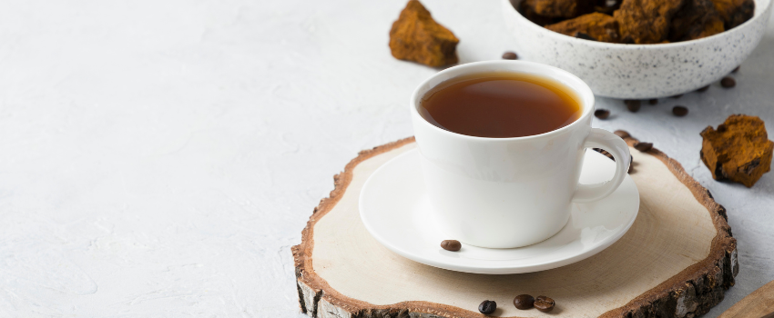 Chaga mushroom benefits