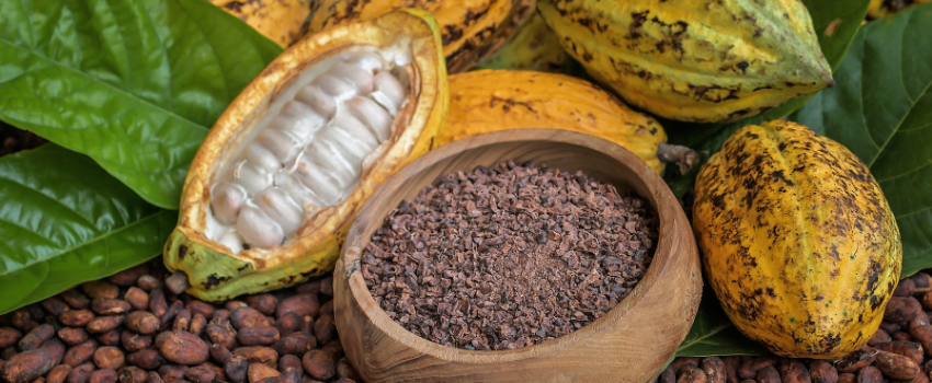 Health benefits of organic cacao powder
