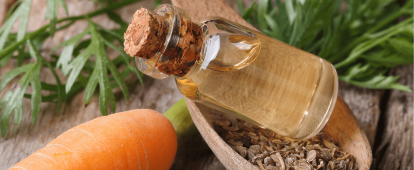 Benefits of carrot seed oil for skin